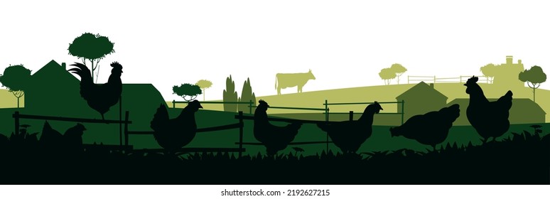 Chickens in pasture. Picture silhouette. Farm pets. Domestic poultry to get eggs. Rural landscape with farmer house. Isolated on white background. Vector.