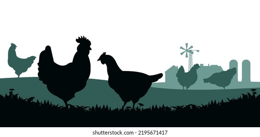 Chickens in pasture. Picture silhouette. Farm pets. Domestic poultry to get eggs. Rural landscape with farmer house. Isolated on white background. Vector.