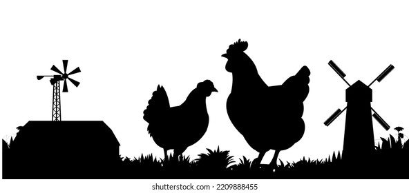 Chickens in pasture. Picture silhouette. Farm pets. Domestic poultry to get eggs. Isolated on white background. Vector.