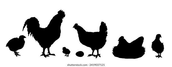 Hühner, Seelachs. Huhn, Huhn, Huhn, Küken, Ei. Geflügelei in Haushalten Einzeln auf weißem Hintergrund. Vektorgrafik für Agrarprodukte-Paket, Plakat, Banner, Kartendesign