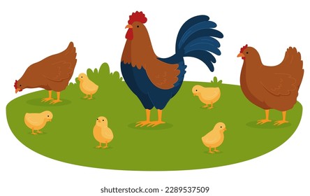 Chickens with a rooster. The village is a poultry farm. Vector illustration