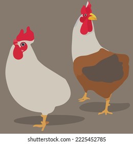 Chickens and Roosters Illustration Vector Cartoon Drawing