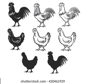 Chickens set vector illustration in black and white, contour and silhouettes. Hen and rooster. Male and female chickens set
