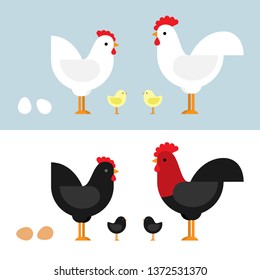 Chickens set vector illustration in color. Black and white Hen and Rooster. Character design in flat.