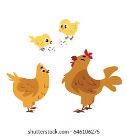 Chickens set vector illustration. Hen and Rooster. Chicken family set

