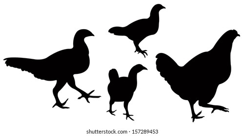 Chickens Silhouette Vector Stock Vector Royalty Free 157289453 Shutterstock 