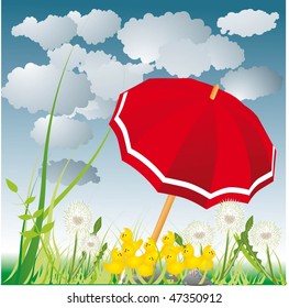 chickens umbrella