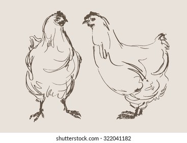 chickens vector, hand draw sketch
