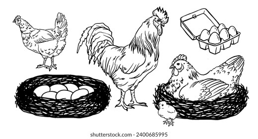 Chickens vector hand drawn illustration. Chicken, speckled hen, rooster, cock and chicks, nest with eggs poster, flyer, book, farm products package