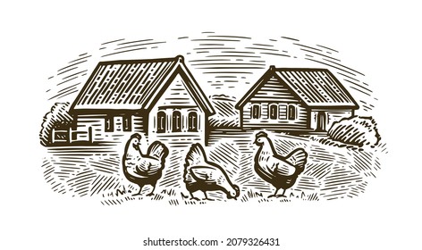 Chickens in village sketch. Rural landscape in vintage engraving style