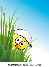 chicklet in the grass