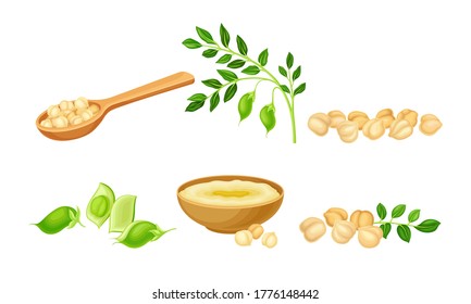 Chickpea as Annual Legume Plant with Green Stems and Proteinic Beige Peas Poured in Bowl Vector Set