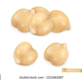 Chickpea, Gram. 3d Realistic Vector