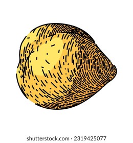 chickpea hummus pea hand drawn. food vector, raw arabic, shot vegetable, top chana, cooking view chickpea hummus pea vector sketch. isolated color illustration
