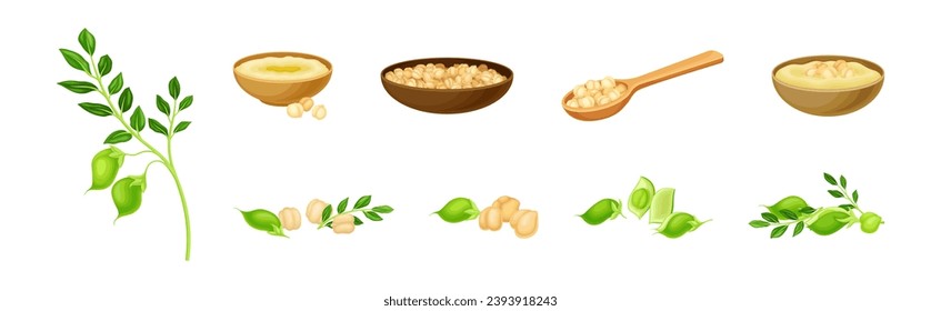 Chickpea Legume Plant in Bowl and Spoon Vector Set