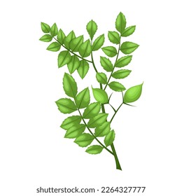chickpea plant cartoon. agriculture bean, chick diet, fresh food, health ingredient, nutrition natural chickpea plant vector illustration