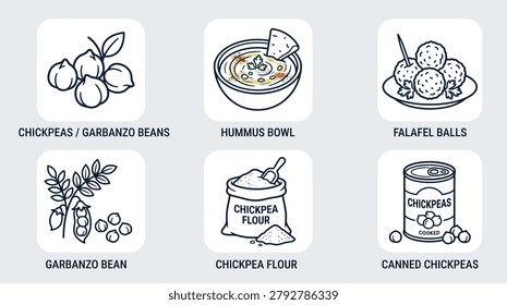 Chickpea product vector illustrations show bean plant hummus bowl falafel balls chickpea flour sack and canned chickpeas