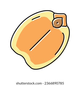 chickpea seed color icon vector. chickpea seed sign. isolated symbol illustration