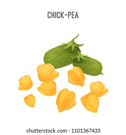 Chick-pea small yellow seeds for fodder and food forage purposes