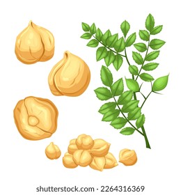 chickpeas food set cartoon. vegetarian chickpea, healthy natural, vegetable ingredient, vegan bean, legume pea chickpeas food vector illustration