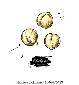 Chickpeas hand drawn vector illustration. Isolated Vegetable  object. Detailed vegetarian food drawing. Farm market product. Great for menu, label, icon
