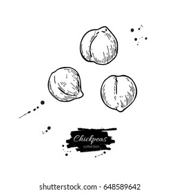 Chickpeas hand drawn vector illustration. Isolated Vegetable engraved style object. Detailed vegetarian food drawing. Farm market product. Great for menu, label, icon