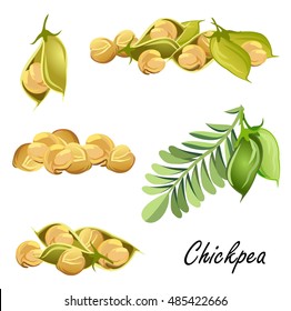 Chickpeas  (plant, pods, peas). Set of hand drawn vector sketches on white background. 