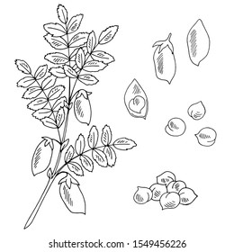 Chickpeas set graphic black white isolated sketch illustration vector