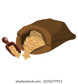 Chickpeas . Vector illustration on a white background