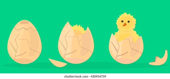 Chick's birth. Cartoon vector illustration