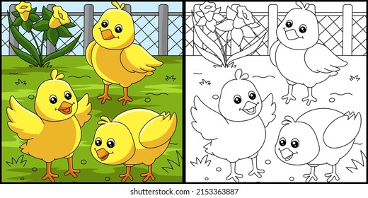 Chicks Coloring Page Colored Illustration