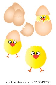 Chicks and eggs