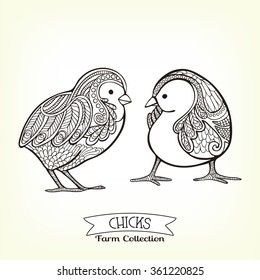 Chicks. Hand drawn decorative farm animal. Good for farmers market invitation, labels. Vector illustration. This illustration can be used as a print on T-shirts and bags.