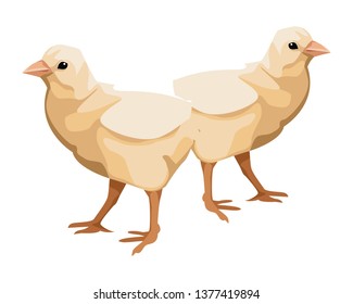 chicks icon cartoon