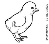chicks line vector illustration.
isolated on white background.Animals top view