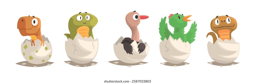 Chicks and Reptiles Hatch from Cracked Egg Shell Vector Set