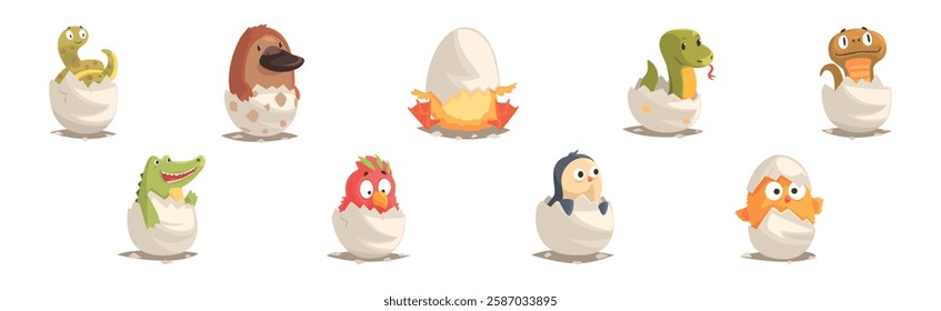 Chicks and Reptiles Hatch from Cracked Egg Shell Vector Set