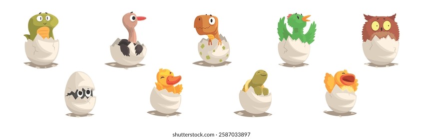 Chicks and Reptiles Hatch from Cracked Egg Shell Vector Set