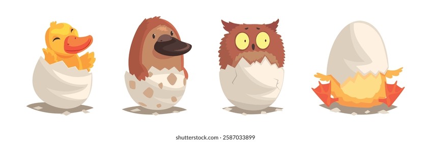 Chicks and Reptiles Hatch from Cracked Egg Shell Vector Set