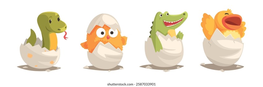 Chicks and Reptiles Hatch from Cracked Egg Shell Vector Set