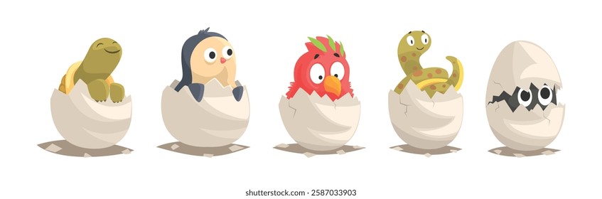 Chicks and Reptiles Hatch from Cracked Egg Shell Vector Set