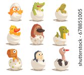 Chicks and reptiles hatch from eggs set, unborn animals vector Illustrations