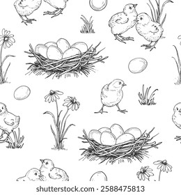 Chicks seamless vector pattern. Background with eggs, nest, chickens hand drawn with ink. Template for fabric design, label, Easter decor.