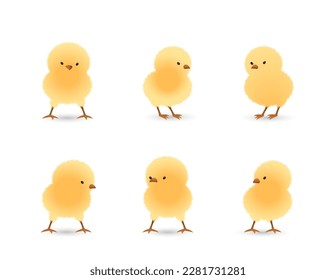 Chicks standing in different gesture set