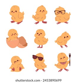 Chicks vector cartoon set isolated on a white background.