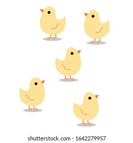 Chicks vector illustration simple clip art