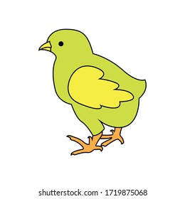 chicks, vector poultry farm Illustration on a white background