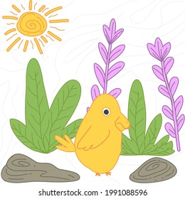 chicks walking around on a very sunny day