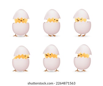 Chicks in white broken eggs  set