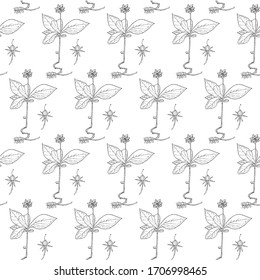 Chickweed-wintergreen seamless monochrome pattern. Art design element ink hand drawn stock vector illustration for web, for print, for fabric print
